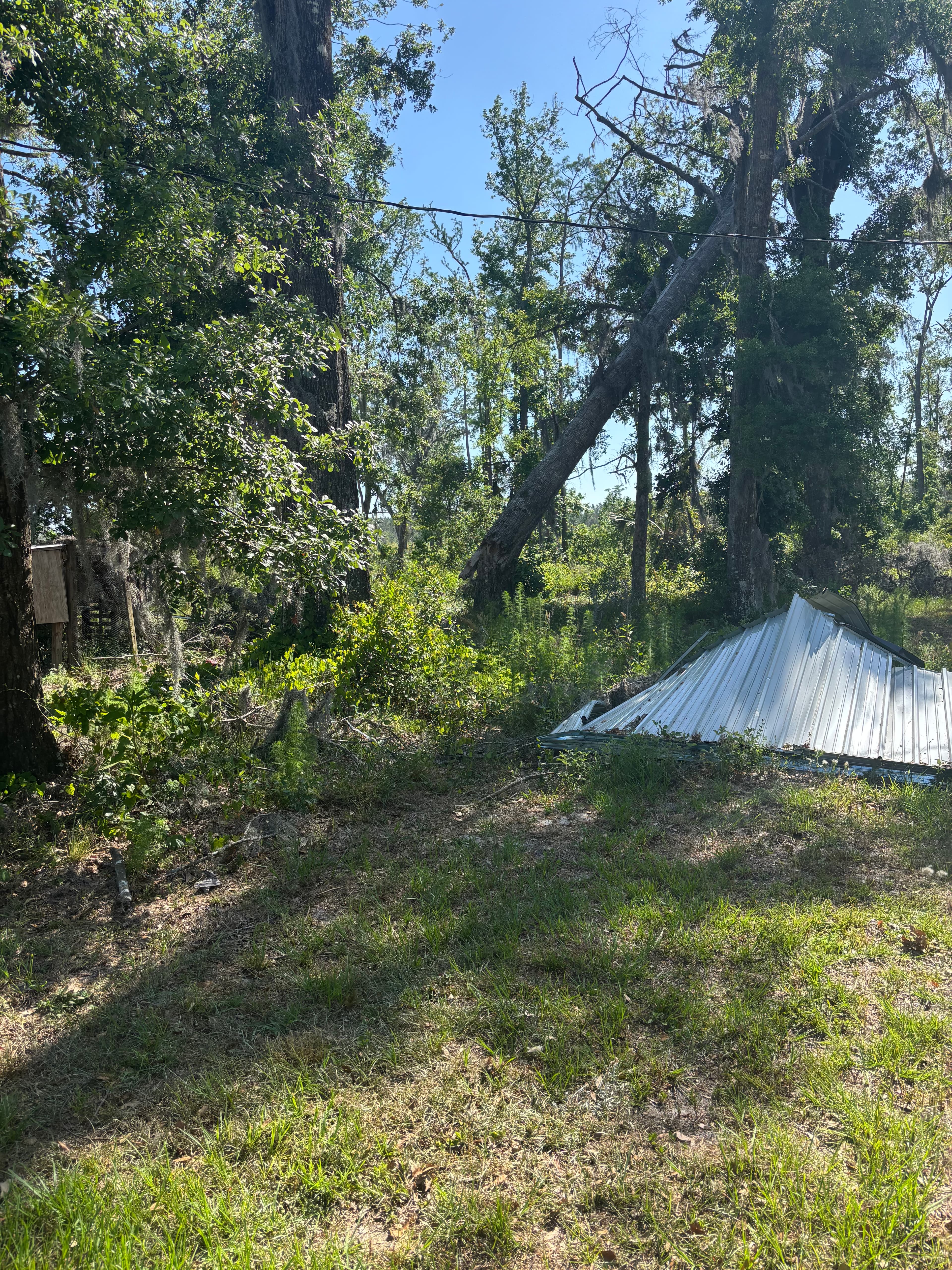Hunting Land Restoration - Image 1