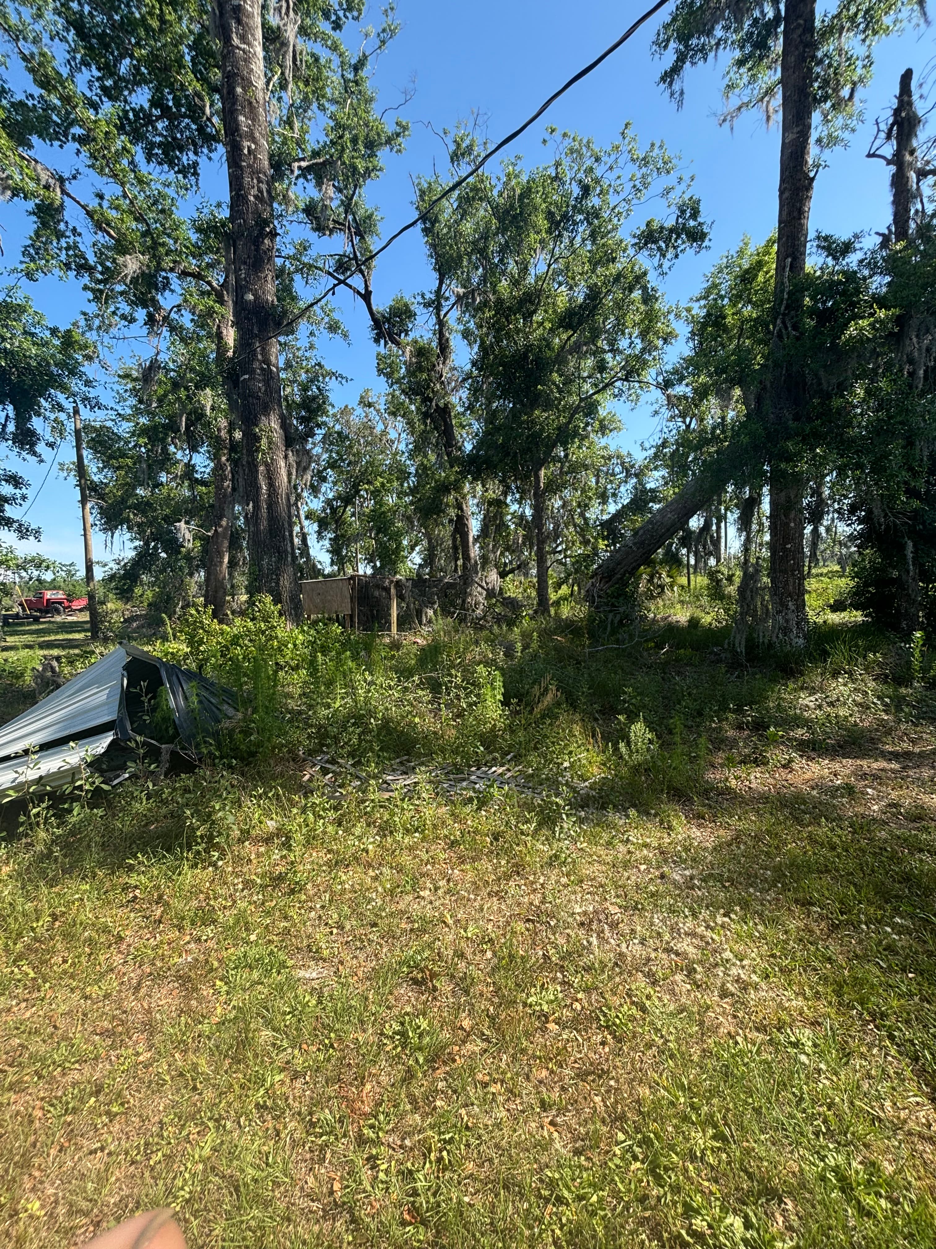 Hunting Land Restoration - Image 2