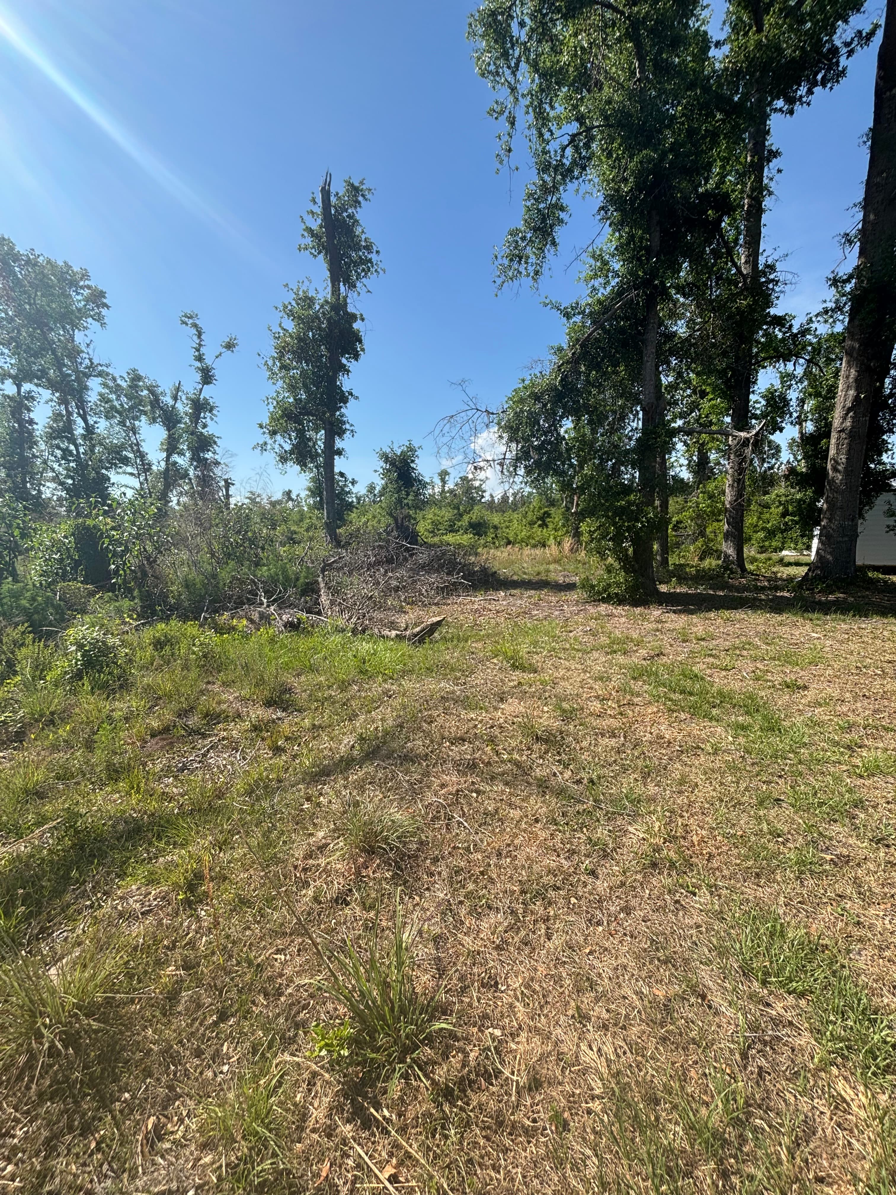 Hunting Land Restoration - Image 5