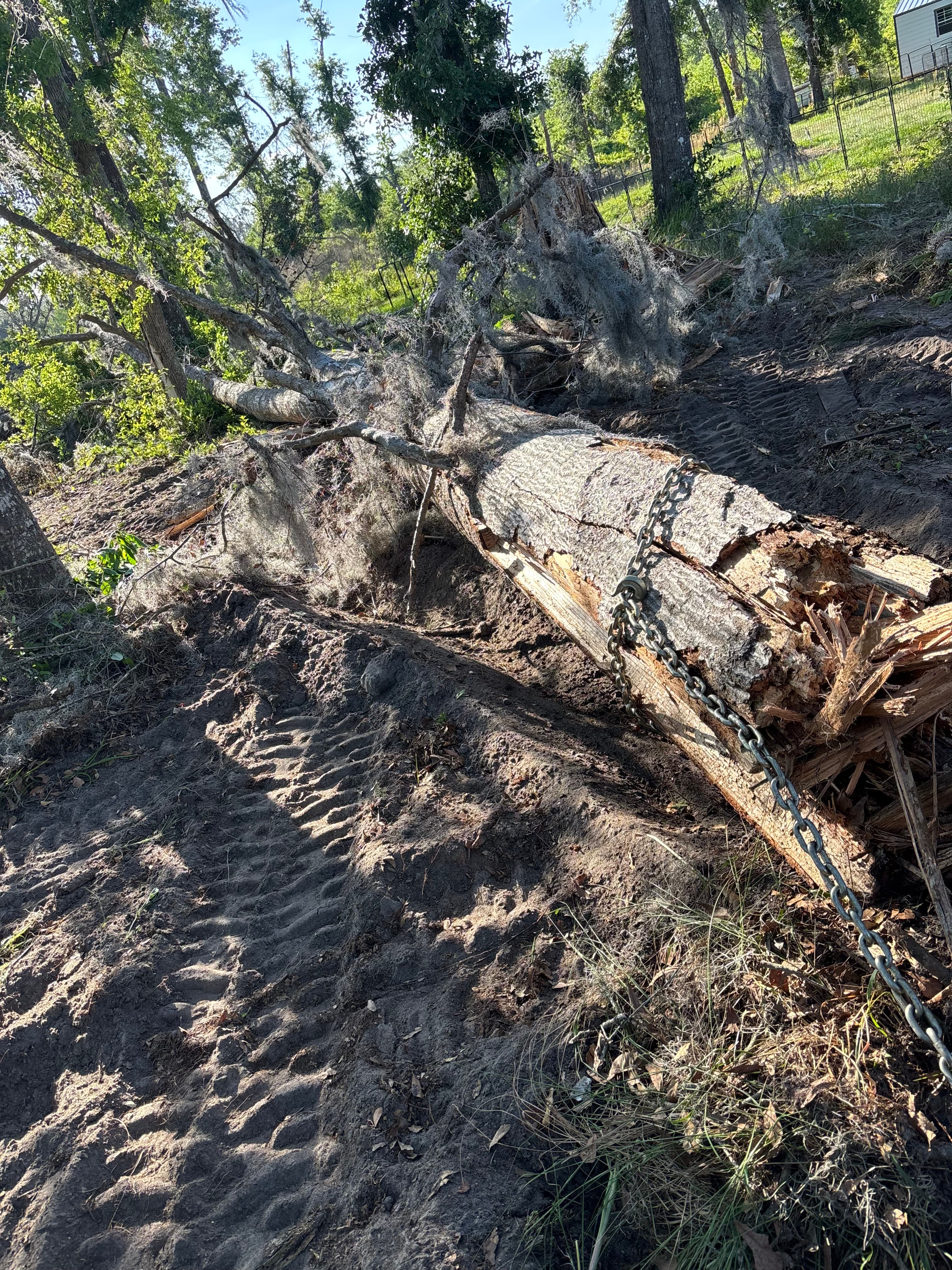 Hunting Land Restoration - Image 6