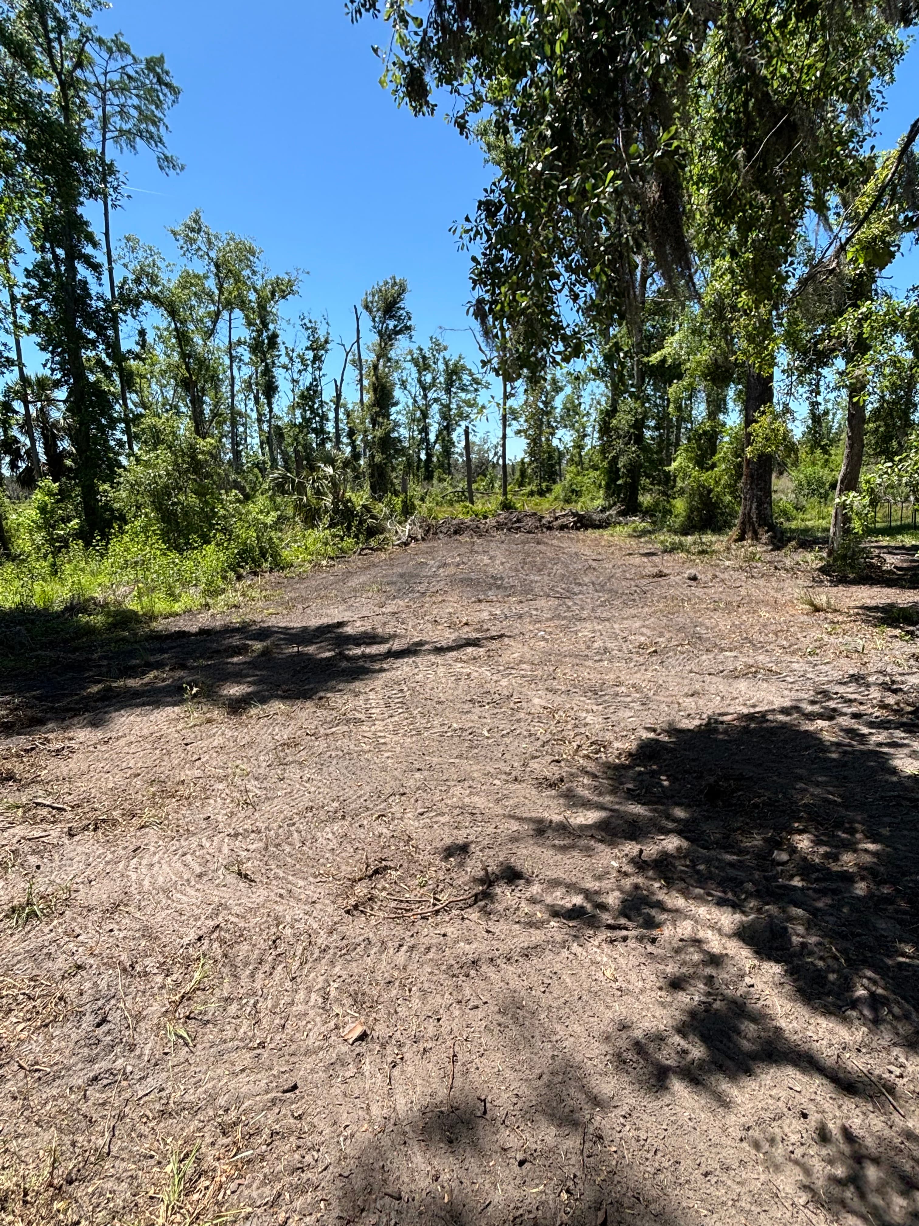 Hunting Land Restoration - Image 8