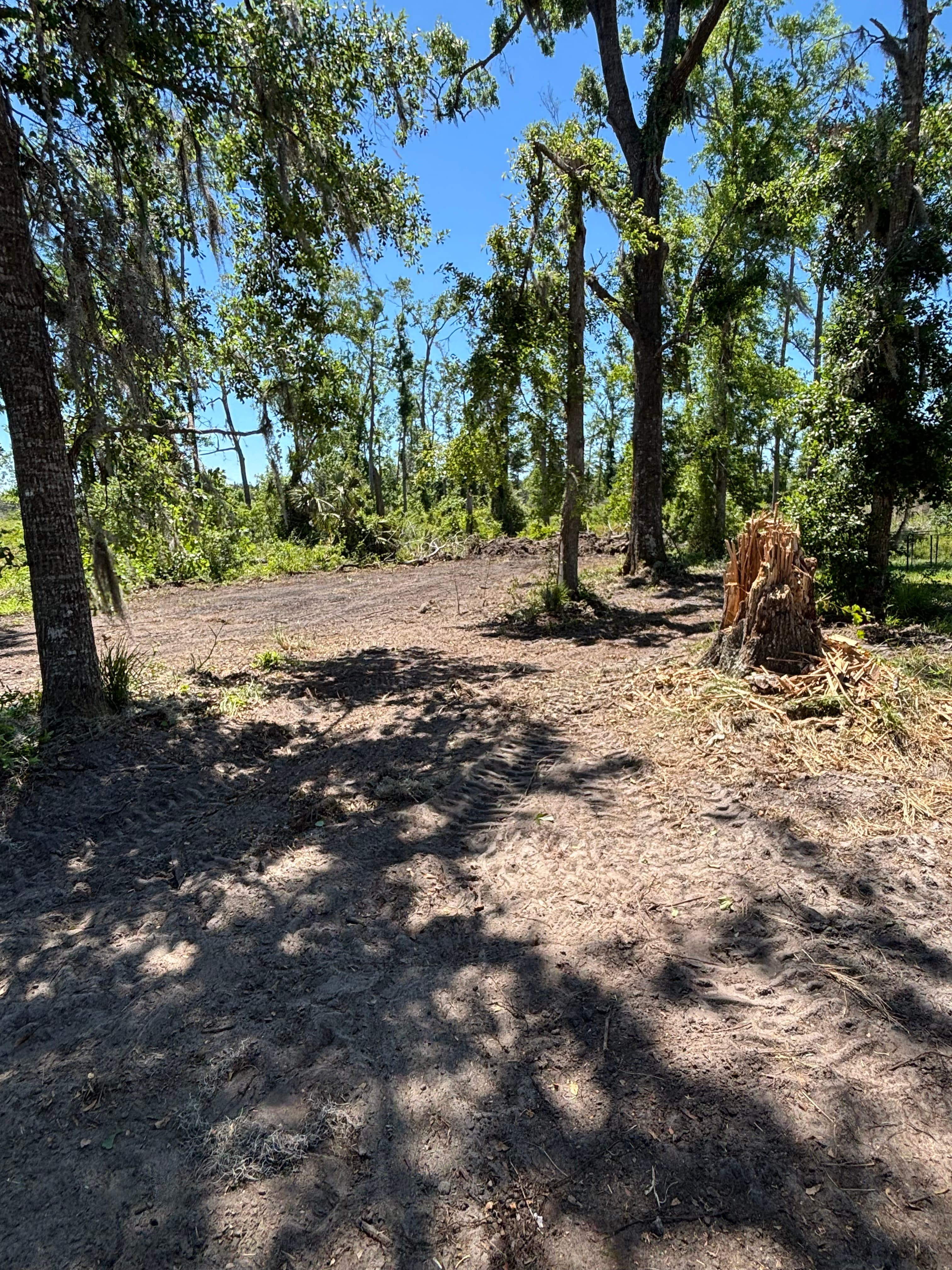 Hunting Land Restoration - Image 9