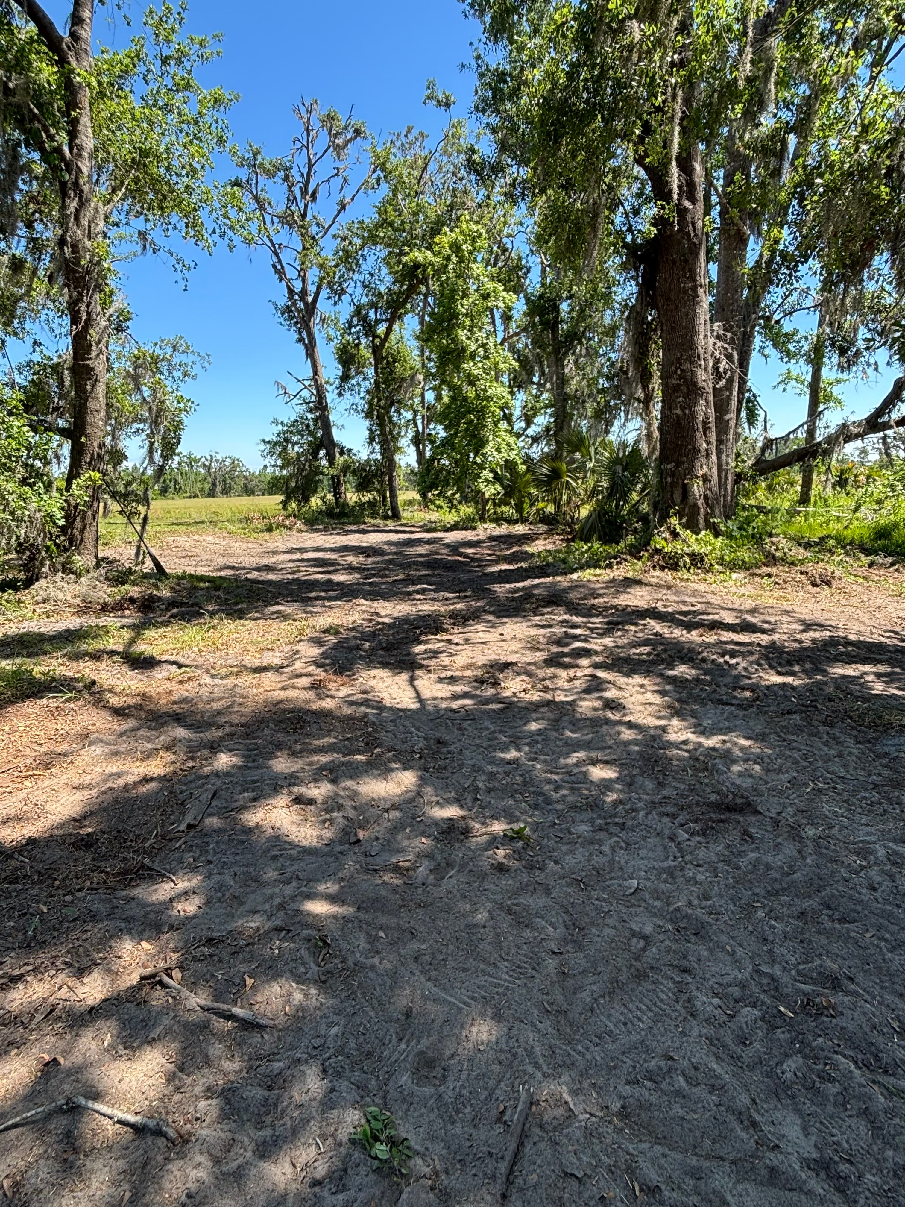 Hunting Land Restoration - Image 10