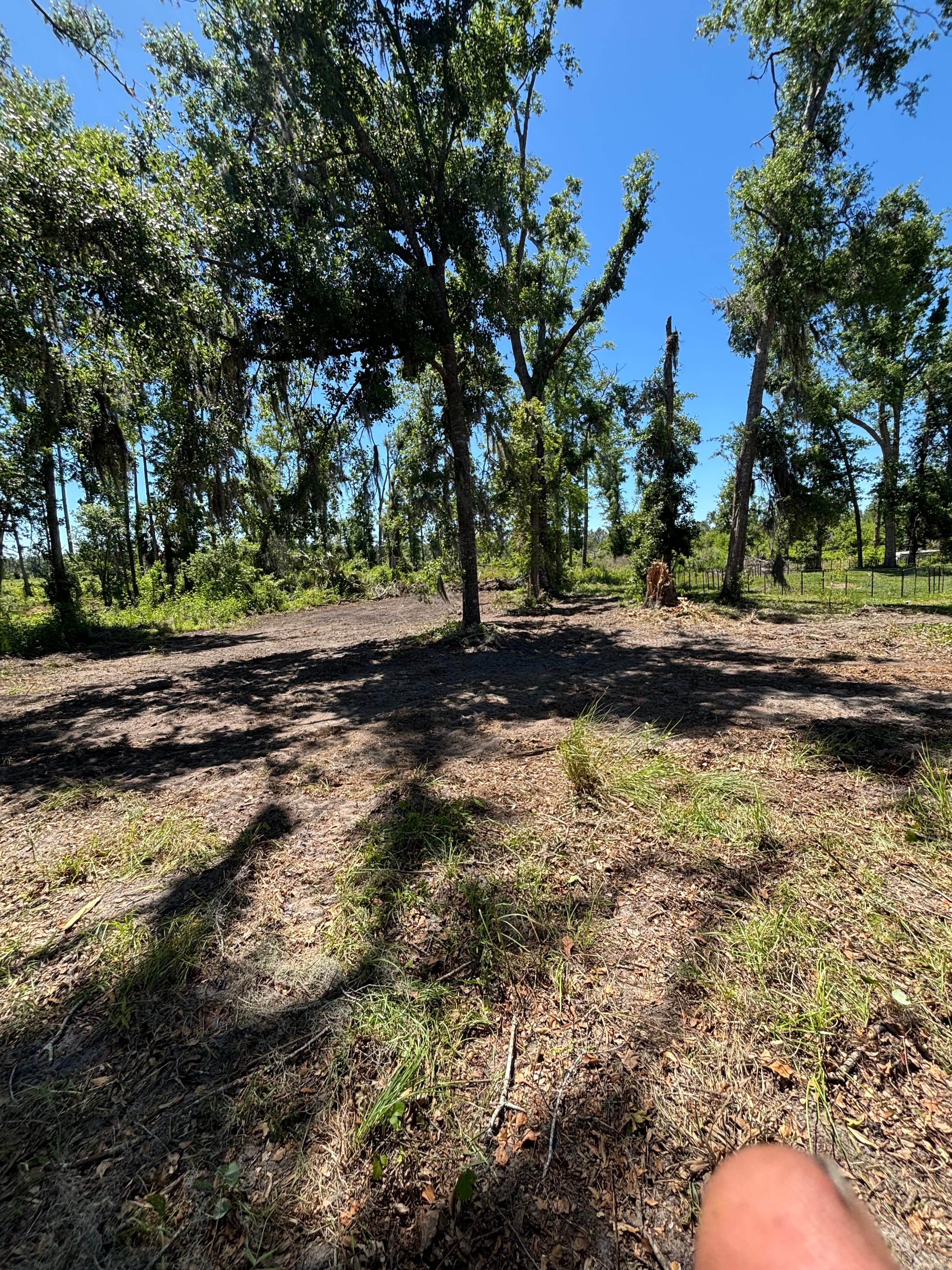 Hunting Land Restoration - Image 11