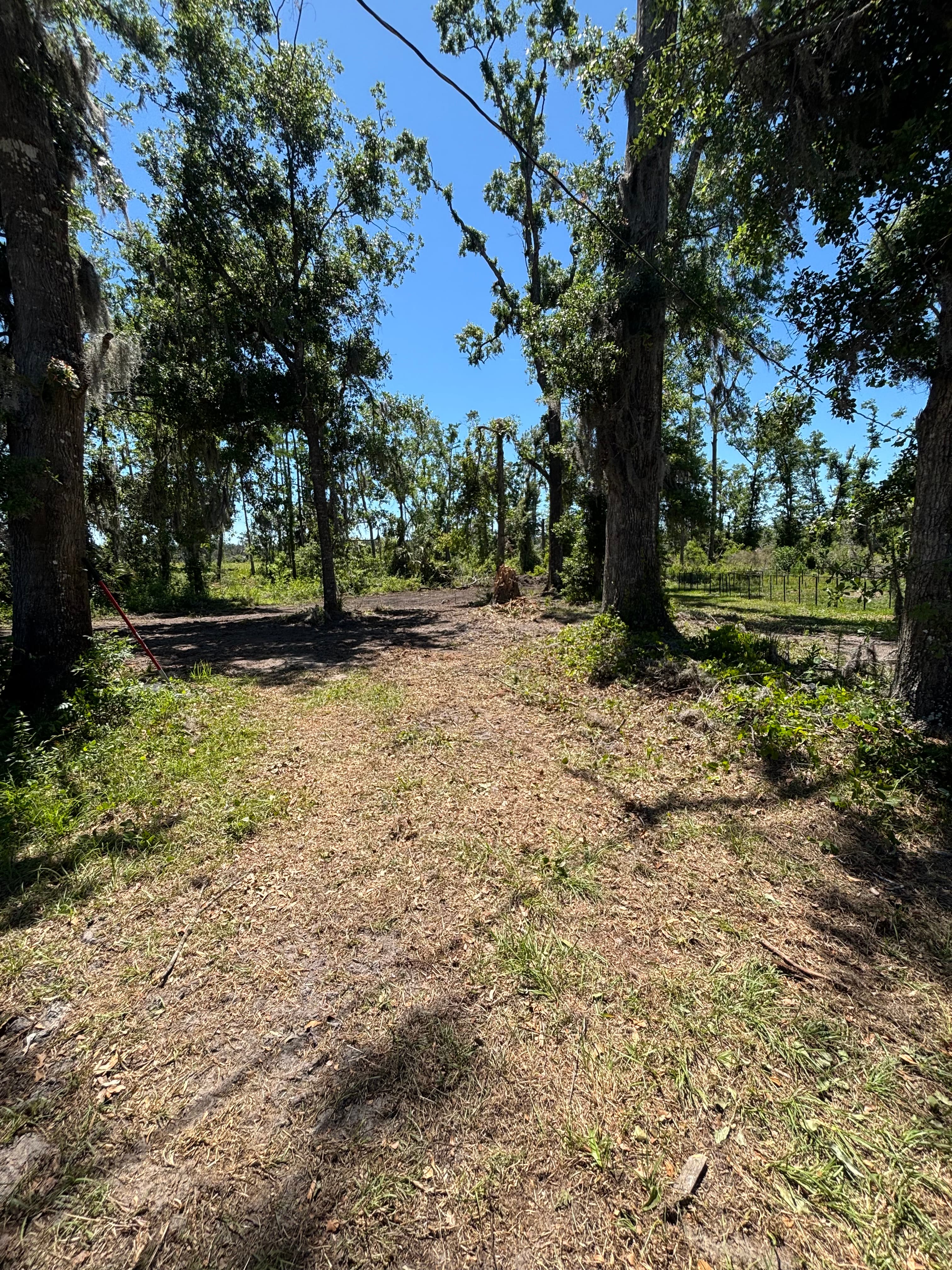 Hunting Land Restoration - Image 12