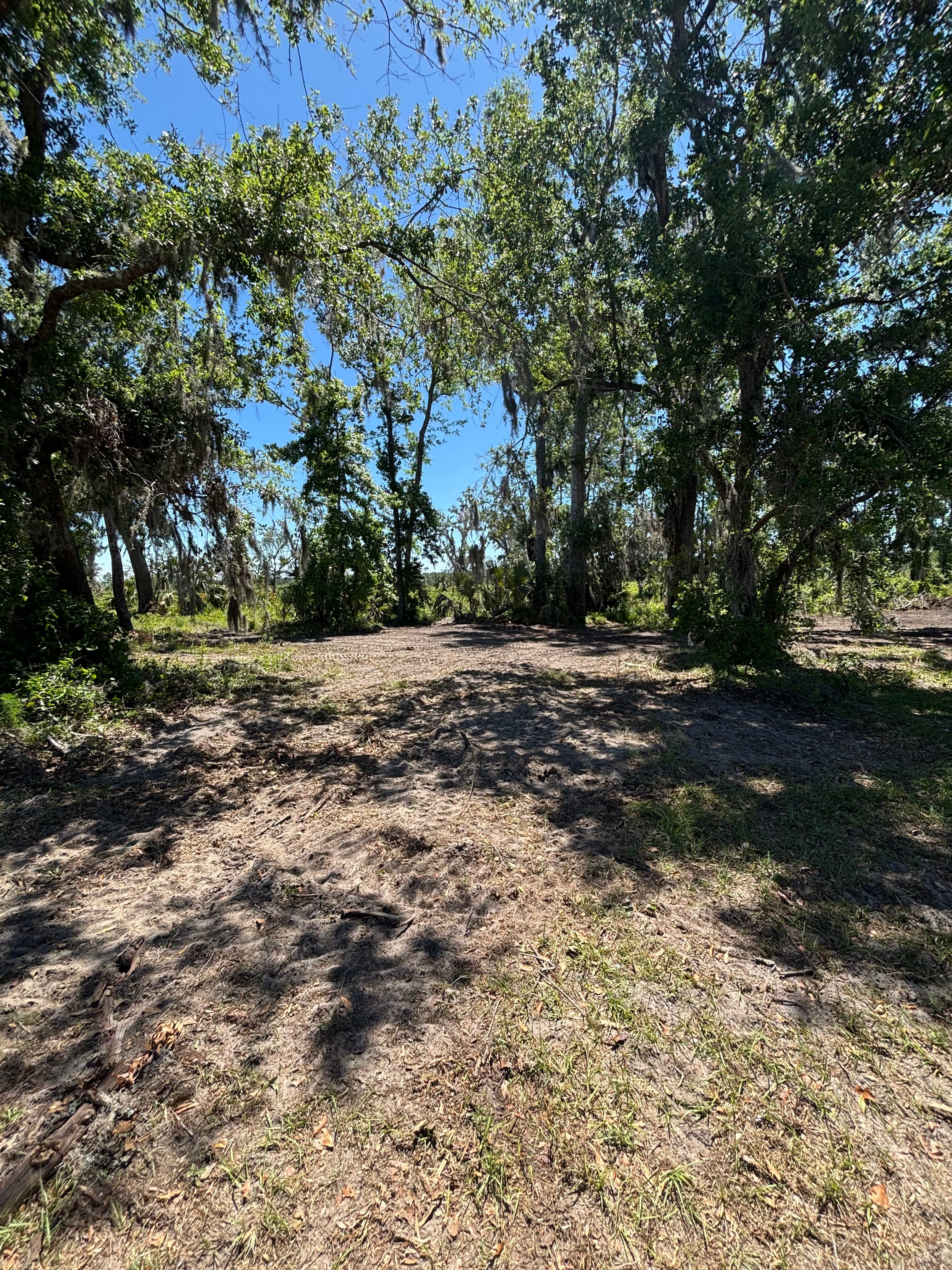 Hunting Land Restoration - Image 13